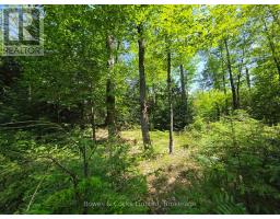 1160 Balmer Road, North Kawartha, ON K0L1A0 Photo 6