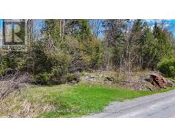 1160 Balmer Road, North Kawartha, ON K0L1A0 Photo 11