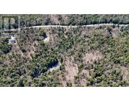 1160 Balmer Road, North Kawartha, ON K0L1A0 Photo 17