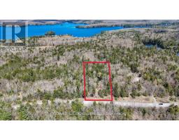 1160 Balmer Road, North Kawartha, ON K0L1A0 Photo 12