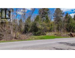 1160 Balmer Road, North Kawartha, ON K0L1A0 Photo 13