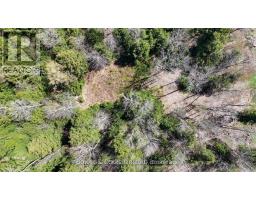 1160 Balmer Road, North Kawartha, ON K0L1A0 Photo 16