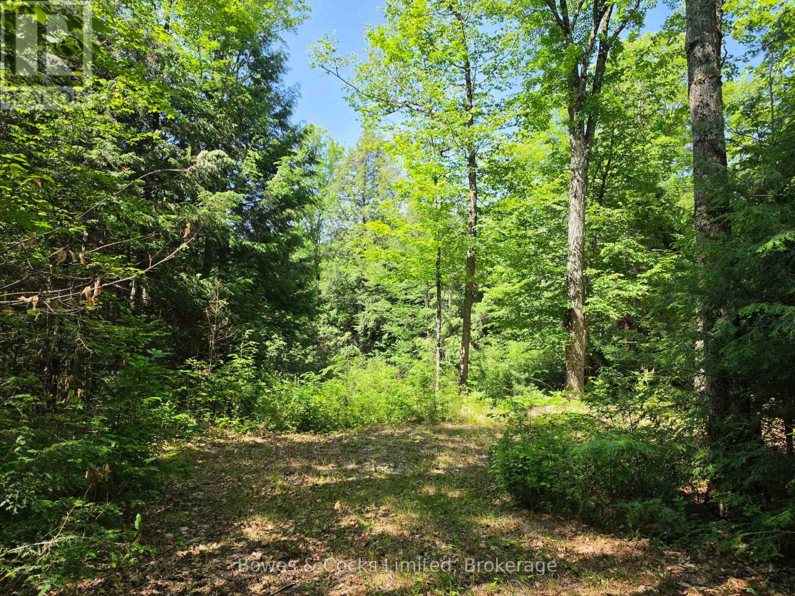 1160 BALMER ROAD, North Kawartha — photo 2