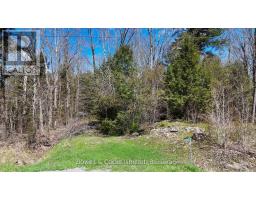 1160 Balmer Road, North Kawartha, ON K0L1A0 Photo 10