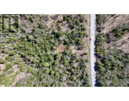 1160 Balmer Road, North Kawartha, ON K0L1A0 Photo 15