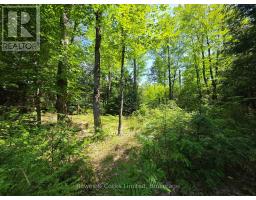 1160 Balmer Road, North Kawartha, ON K0L1A0 Photo 7