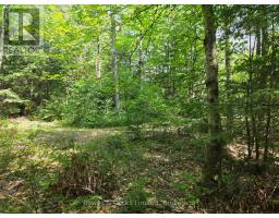 1160 Balmer Road, North Kawartha, ON K0L1A0 Photo 8