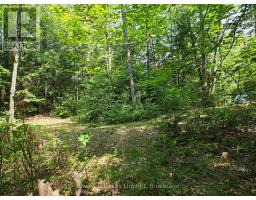 1160 Balmer Road, North Kawartha, ON K0L1A0 Photo 9