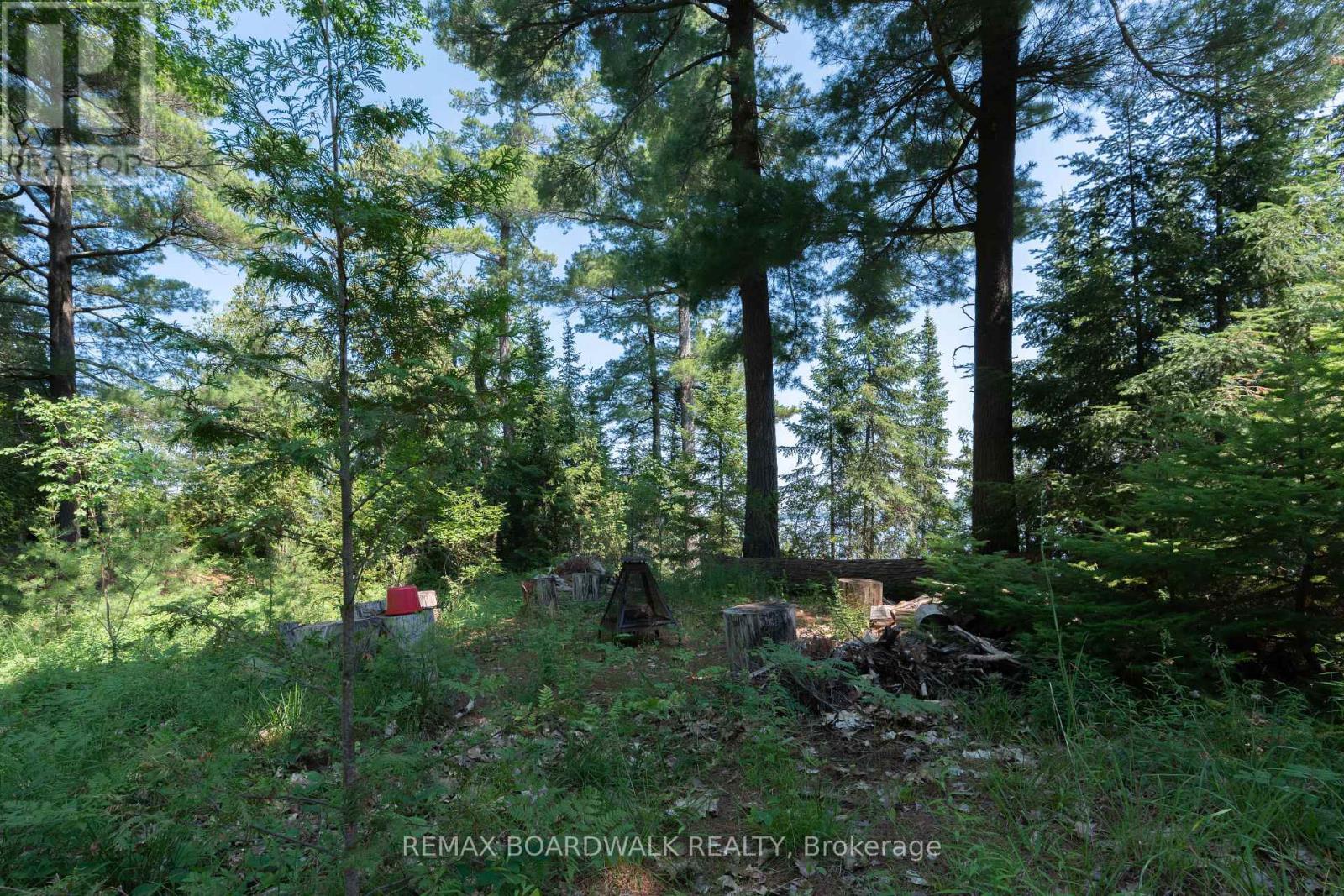 6603 BIG RIDEAU ISLAND - 38