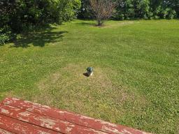 62 Lakeview Road, Matheson Island, MB R0C2A0 Photo 25