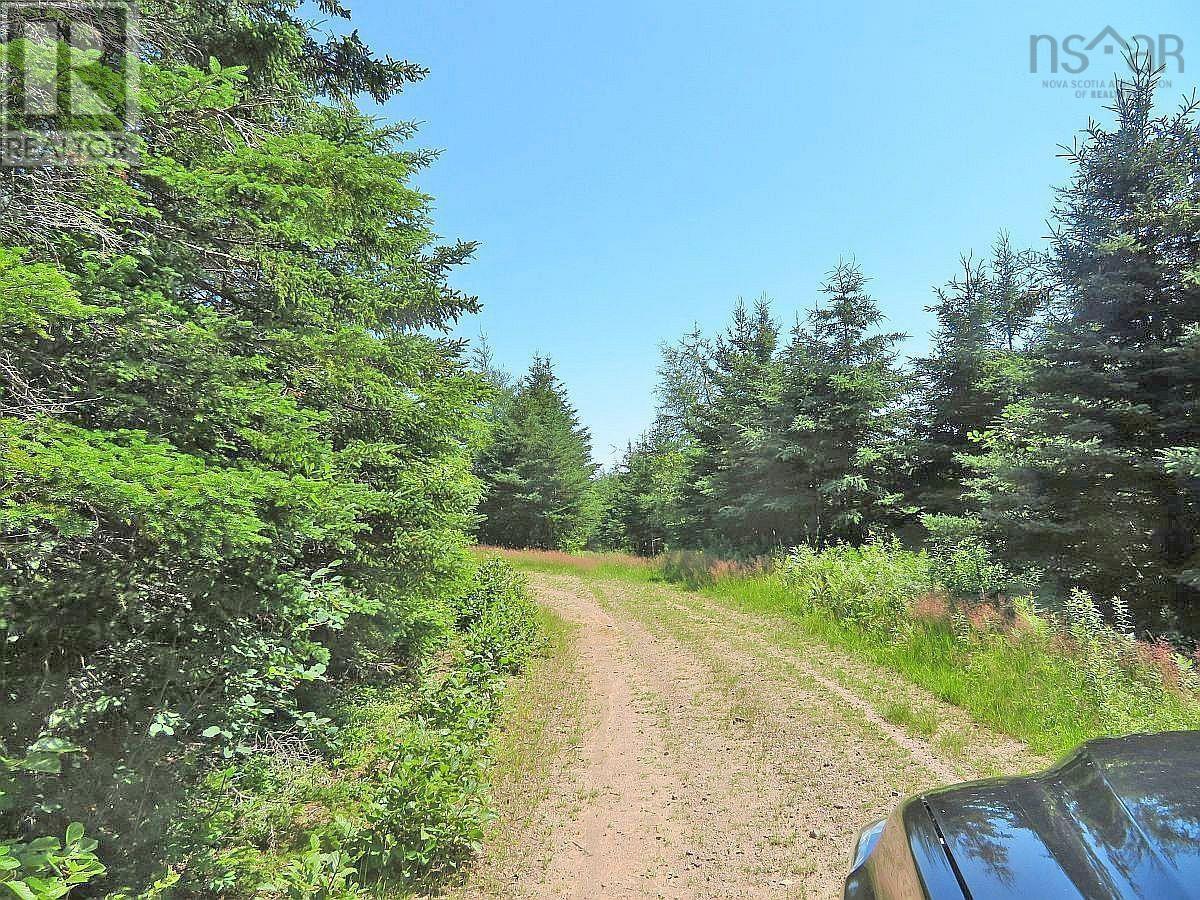 Property 13 of 36 of LOT 4 Highway 4
