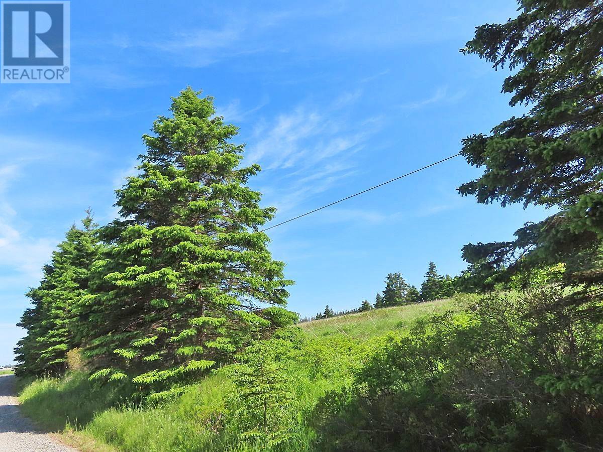 Property 4 of 36 of LOT 4 Highway 4