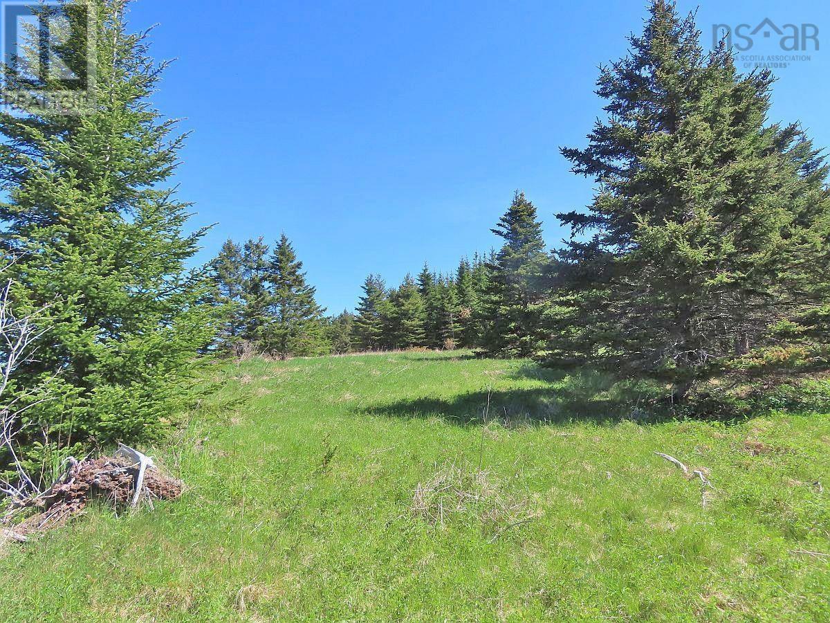 Property 7 of 36 of LOT 4 Highway 4
