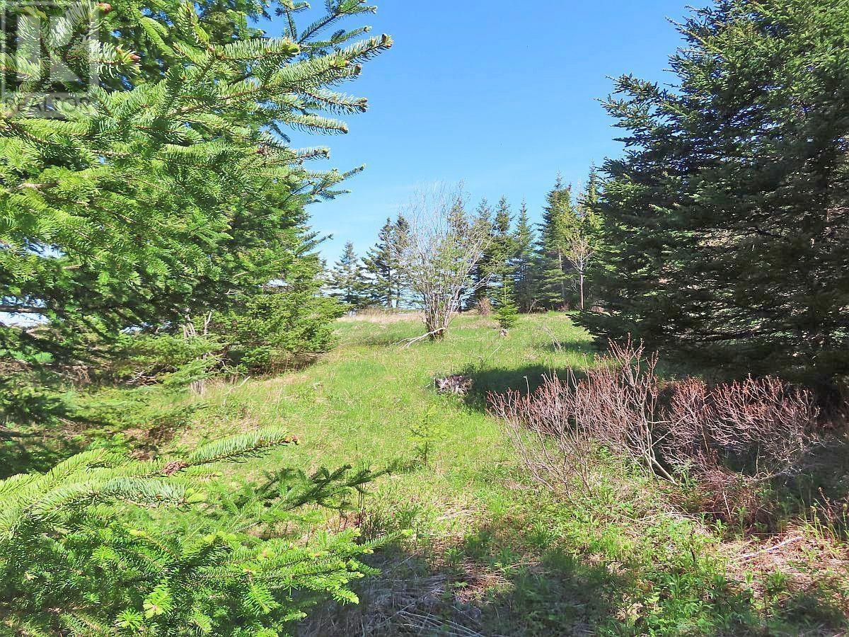 Property 8 of 36 of LOT 4 Highway 4