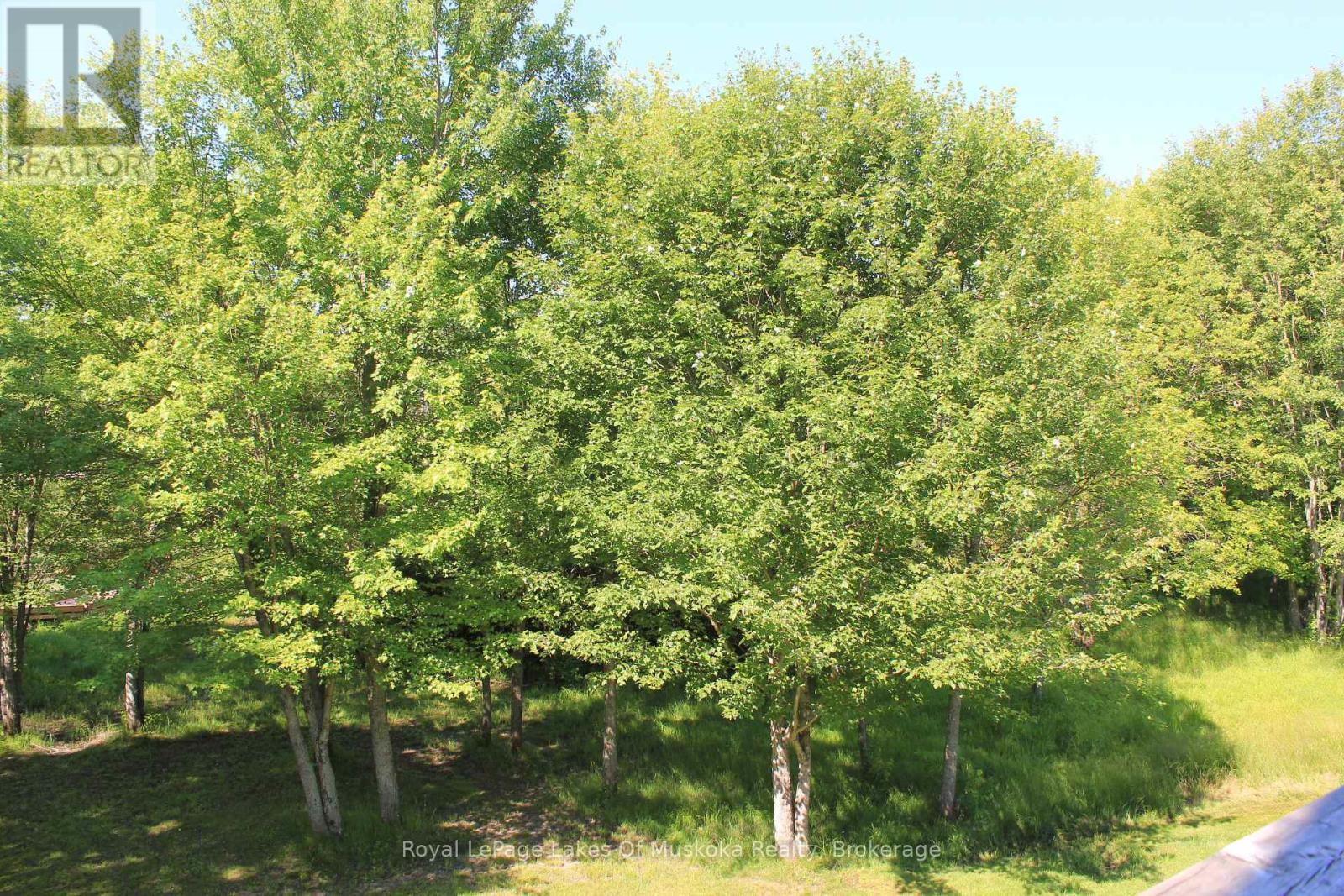 5 BRIDGE ROAD - 15