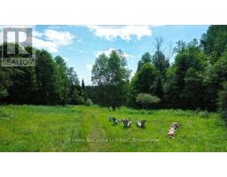 161 & 262 Colbourne Road, Bancroft, ON K0L2L0 Photo 38