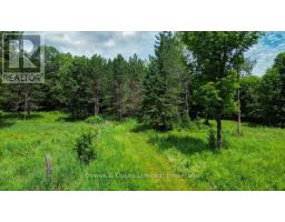 161 & 262 Colbourne Road, Bancroft, ON K0L2L0 Photo 39
