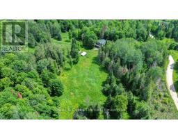 161 & 262 Colbourne Road, Bancroft, ON K0L2L0 Photo 40