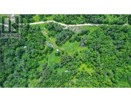 161 & 262 Colbourne Road, Bancroft, ON K0L2L0 Photo 41