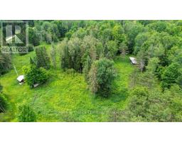 161 & 262 Colbourne Road, Bancroft, ON K0L2L0 Photo 42