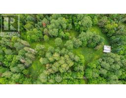 161 & 262 Colbourne Road, Bancroft, ON K0L2L0 Photo 43