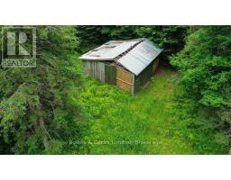 161 & 262 Colbourne Road, Bancroft, ON K0L2L0 Photo 44