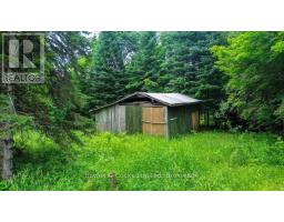 161 & 262 Colbourne Road, Bancroft, ON K0L2L0 Photo 45