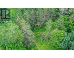 161 & 262 Colbourne Road, Bancroft, ON K0L2L0 Photo 47