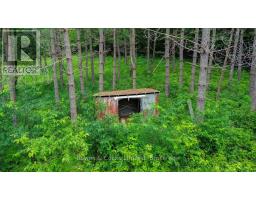 161 & 262 Colbourne Road, Bancroft, ON K0L2L0 Photo 48