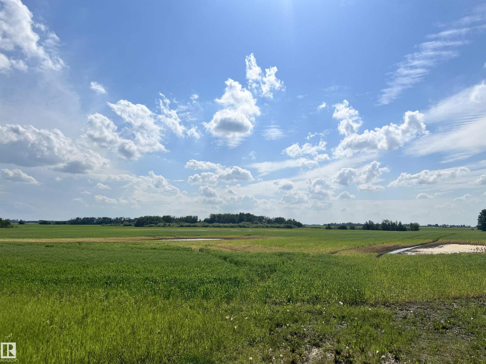 Township 554 Range Road 254 - photo 4
