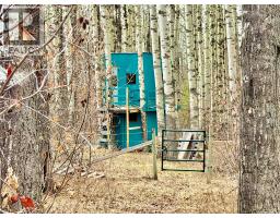 16589 203 Road, Dawson Creek, BC V0C2L0 Photo 48