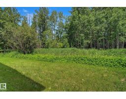 21 Spruce Cr, Rural Lac Ste  Anne County, AB T0E0A0 Photo 28