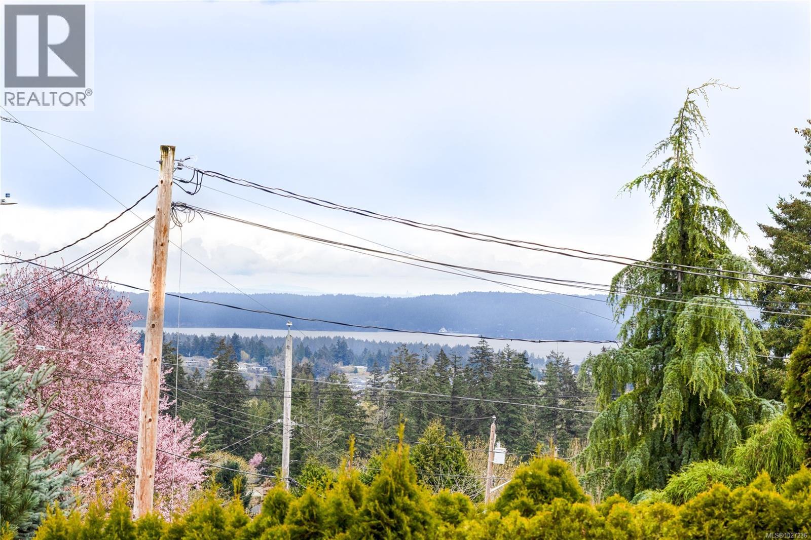 2331 Panorama View Dr - 36