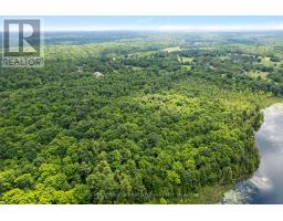 338 Ennis Road, Tay Valley, ON K0G1A0 Photo 6