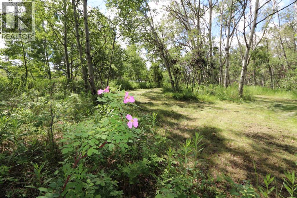 430006 Range Road 232 - 37