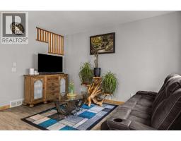 Furnace - 4, 36 Windridge Road, Exshaw, AB T0L2C0 Photo 14
