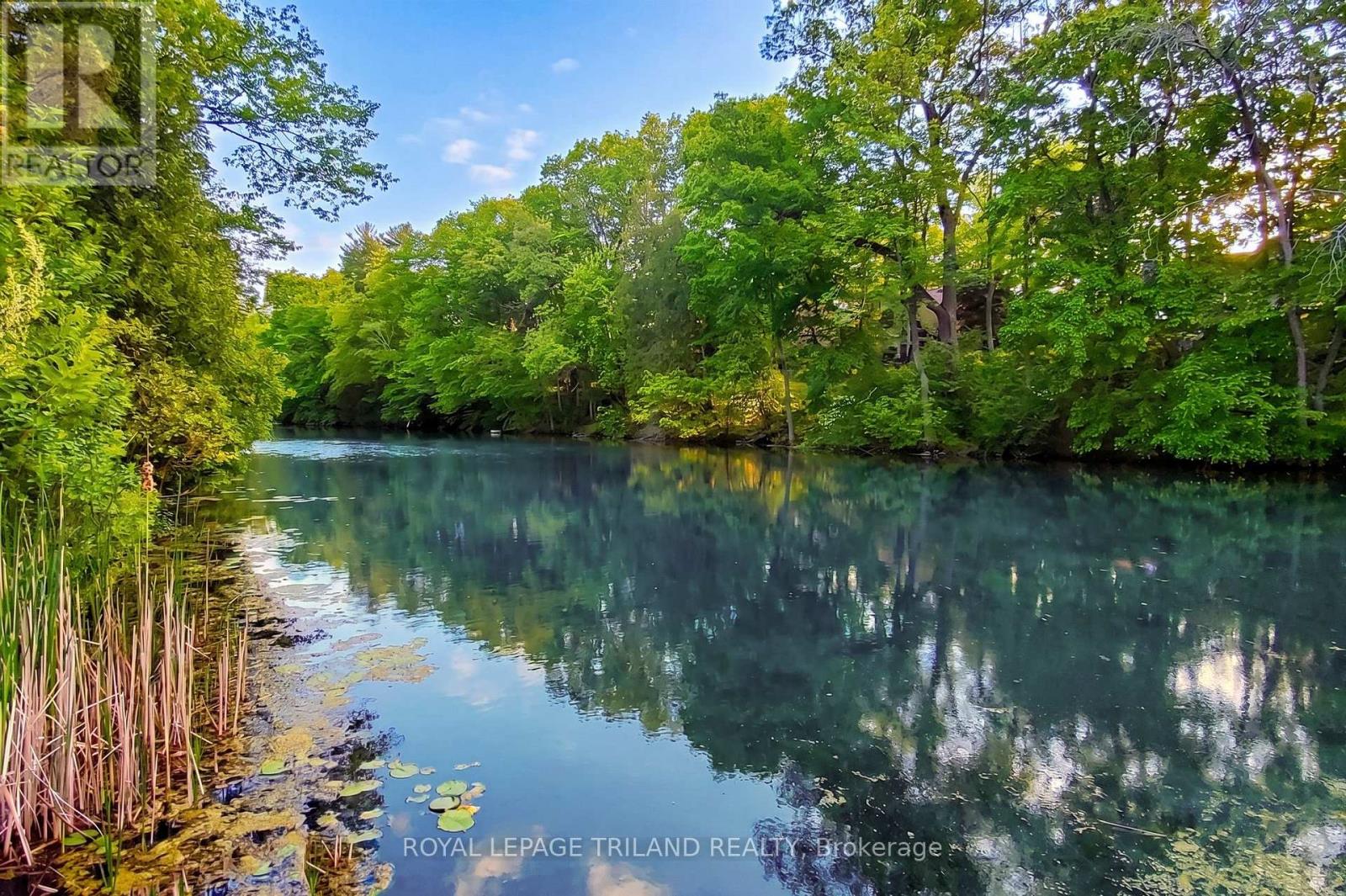 10195 RED PINE ROAD - 45