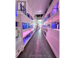 B10 - 4779 Steeles Avenue E, Toronto, ON M1V4S5 Photo 10