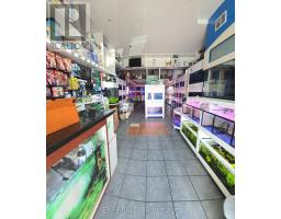 B10 - 4779 Steeles Avenue E, Toronto, ON M1V4S5 Photo 7