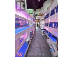 B10 - 4779 Steeles Avenue E, Toronto, ON M1V4S5 Photo 9