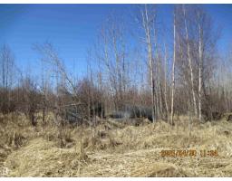 13530 Township Road 550, Rural Yellowhead, AB T7E3Z4 Photo 10