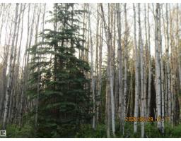 13530 Township Road 550, Rural Yellowhead, AB T7E3Z4 Photo 6