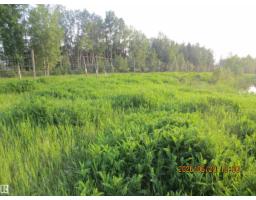 13530 Township Road 550, Rural Yellowhead, AB T7E3Z4 Photo 38