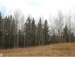 13530 Township Road 550, Rural Yellowhead, AB T7E3Z4 Photo 7