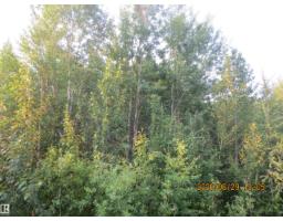 13530 Township Road 550, Rural Yellowhead, AB T7E3Z4 Photo 49