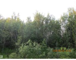 13530 Township Road 550, Rural Yellowhead, AB T7E3Z4 Photo 51