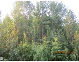 13530 Township Road 550, Rural Yellowhead, AB T7E3Z4 Photo 48