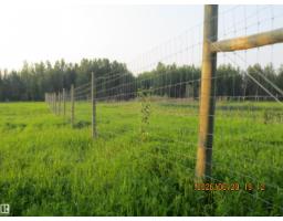 13530 Township Road 550, Rural Yellowhead, AB T7E3Z4 Photo 60