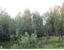 13530 Township Road 550, Rural Yellowhead, AB T7E3Z4 Photo 50