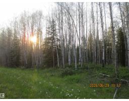 13530 Township Road 550, Rural Yellowhead, AB T7E3Z4 Photo 71